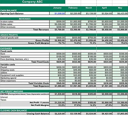 The Projected Cash Flow Statement of An Organization